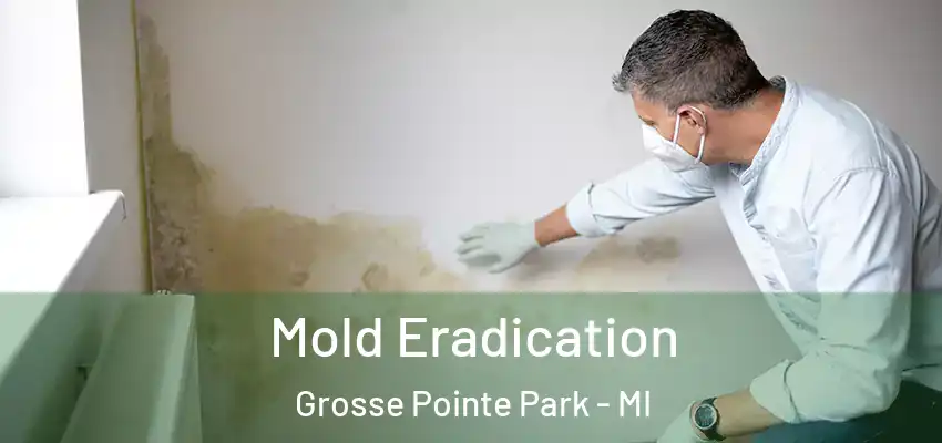  Mold Eradication Grosse Pointe Park - MI
