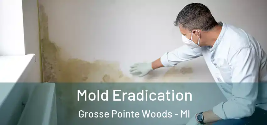  Mold Eradication Grosse Pointe Woods - MI