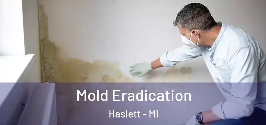 Mold Eradication Haslett - MI