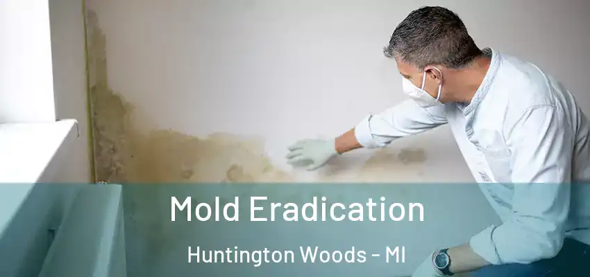 Mold Eradication Huntington Woods - MI