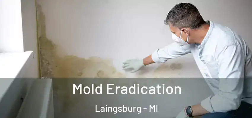  Mold Eradication Laingsburg - MI