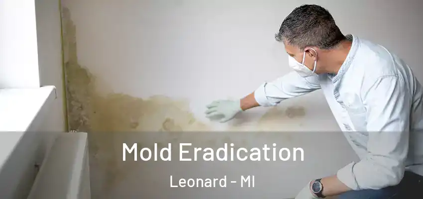 Mold Eradication Leonard - MI