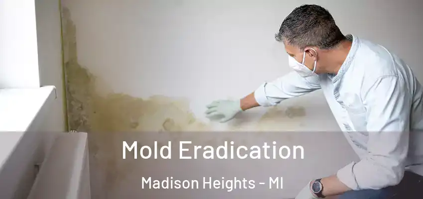  Mold Eradication Madison Heights - MI