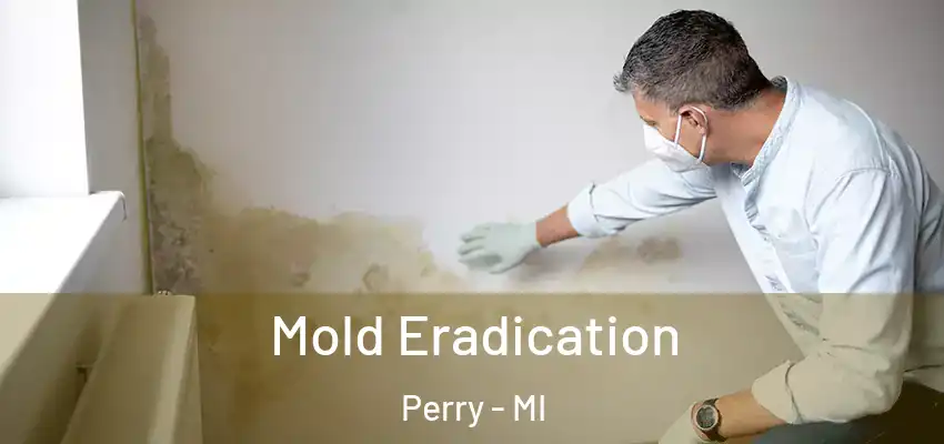 Mold Eradication Perry - MI