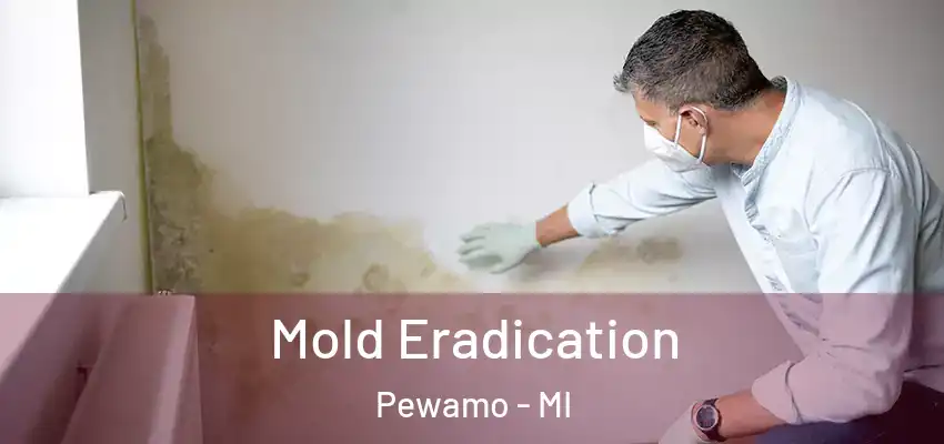  Mold Eradication Pewamo - MI