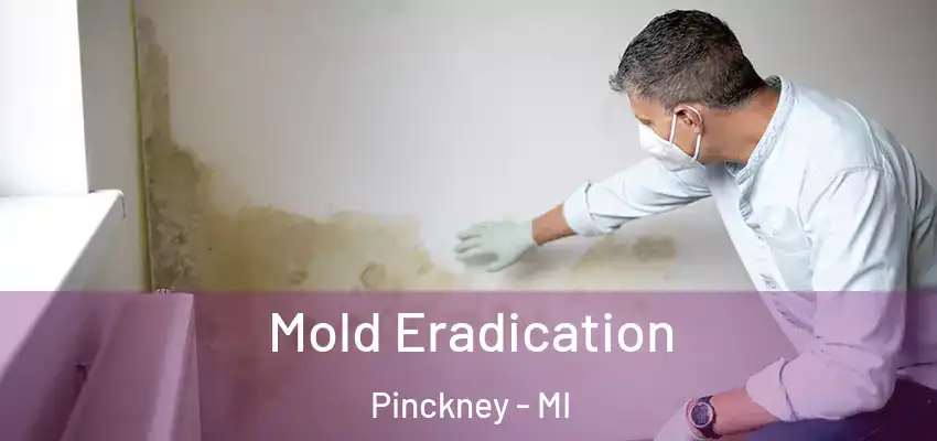  Mold Eradication Pinckney - MI