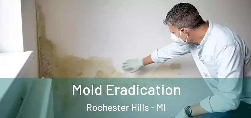  Mold Eradication Rochester Hills - MI