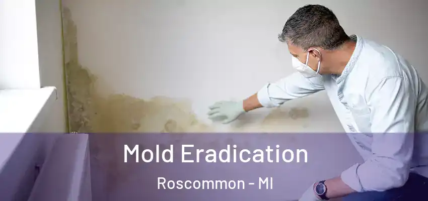 Mold Eradication Roscommon - MI