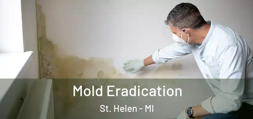  Mold Eradication St. Helen - MI
