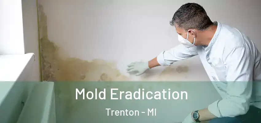  Mold Eradication Trenton - MI