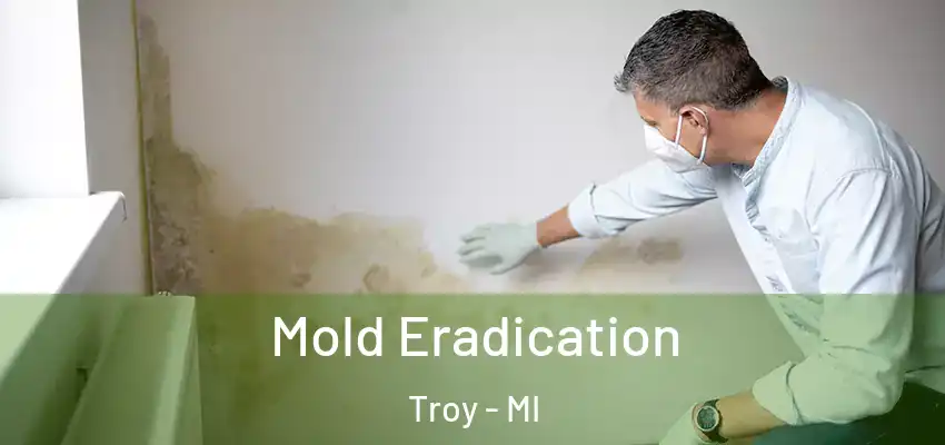 Mold Eradication Troy - MI
