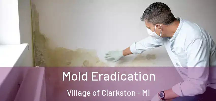  Mold Eradication Village of Clarkston - MI