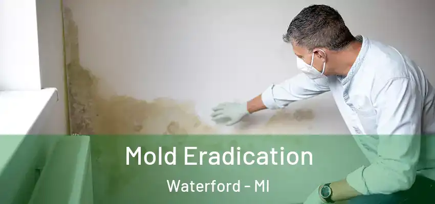  Mold Eradication Waterford - MI