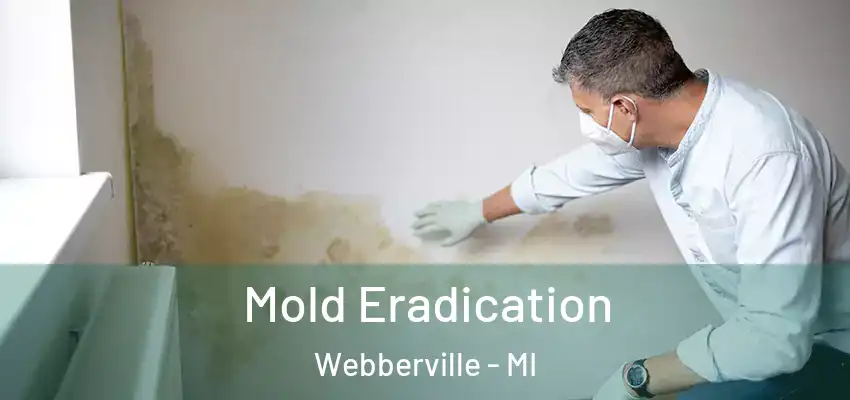  Mold Eradication Webberville - MI