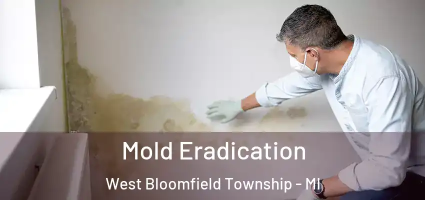  Mold Eradication West Bloomfield Township - MI