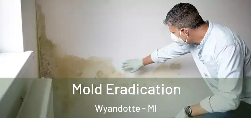  Mold Eradication Wyandotte - MI