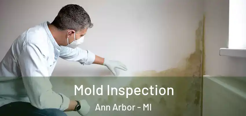  Mold Inspection Ann Arbor - MI