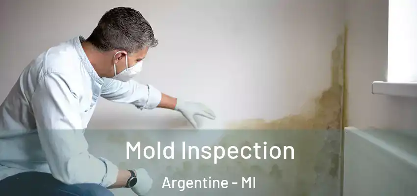  Mold Inspection Argentine - MI