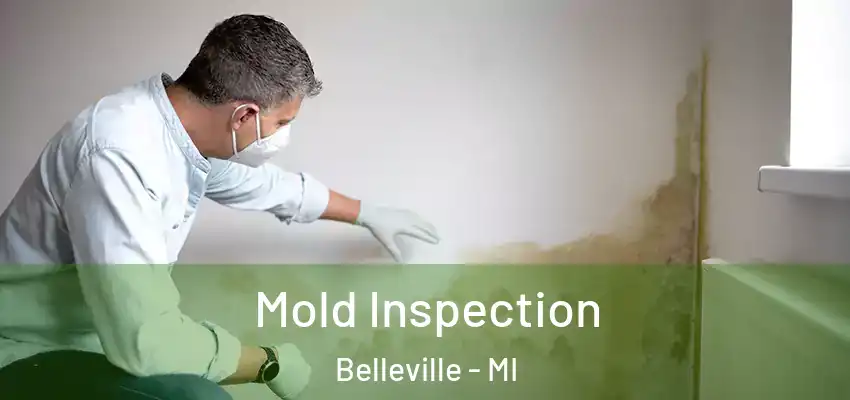  Mold Inspection Belleville - MI