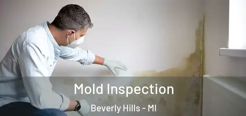 Mold Inspection Beverly Hills - MI