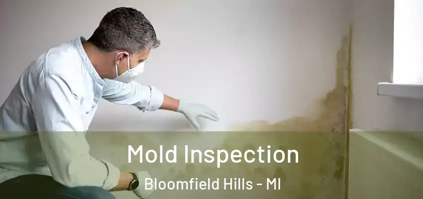  Mold Inspection Bloomfield Hills - MI
