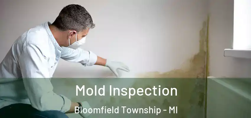  Mold Inspection Bloomfield Township - MI