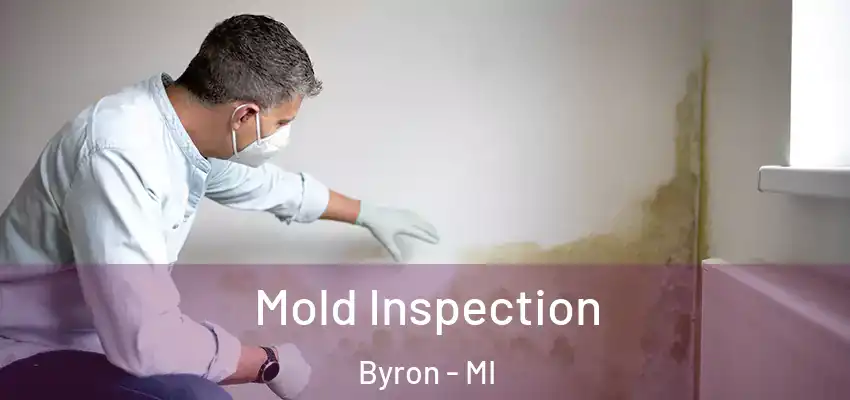  Mold Inspection Byron - MI