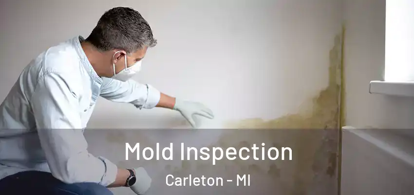  Mold Inspection Carleton - MI