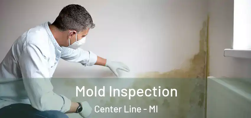  Mold Inspection Center Line - MI