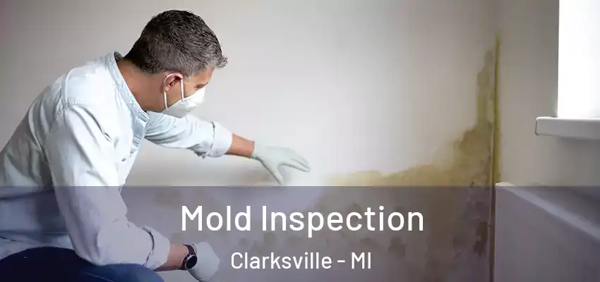  Mold Inspection Clarksville - MI