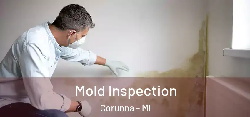  Mold Inspection Corunna - MI