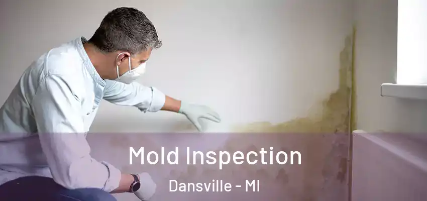  Mold Inspection Dansville - MI