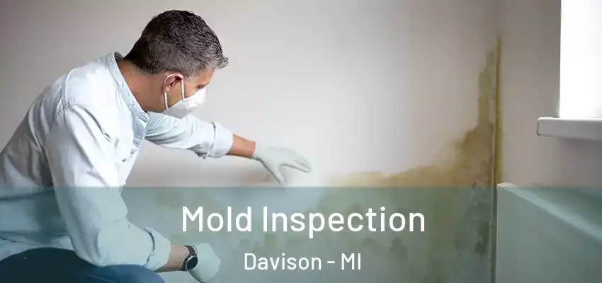  Mold Inspection Davison - MI