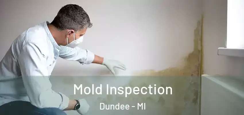  Mold Inspection Dundee - MI