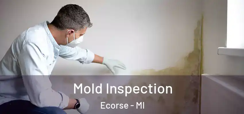  Mold Inspection Ecorse - MI