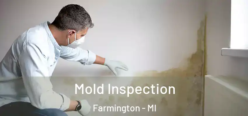  Mold Inspection Farmington - MI