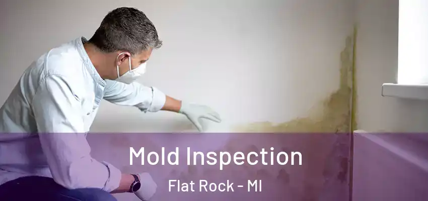  Mold Inspection Flat Rock - MI