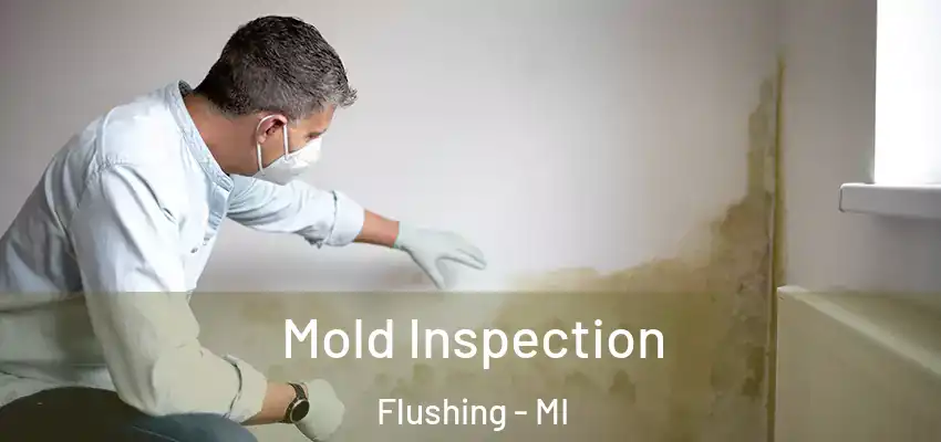  Mold Inspection Flushing - MI