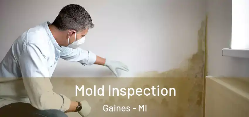 Mold Inspection Gaines - MI