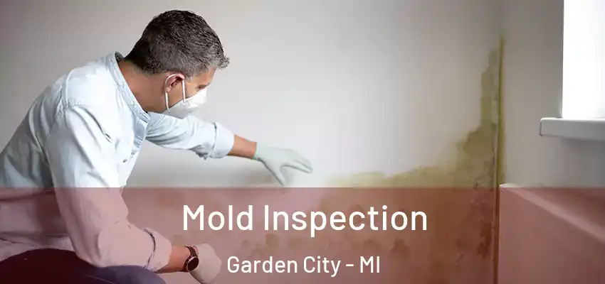  Mold Inspection Garden City - MI