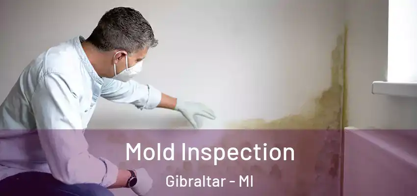  Mold Inspection Gibraltar - MI
