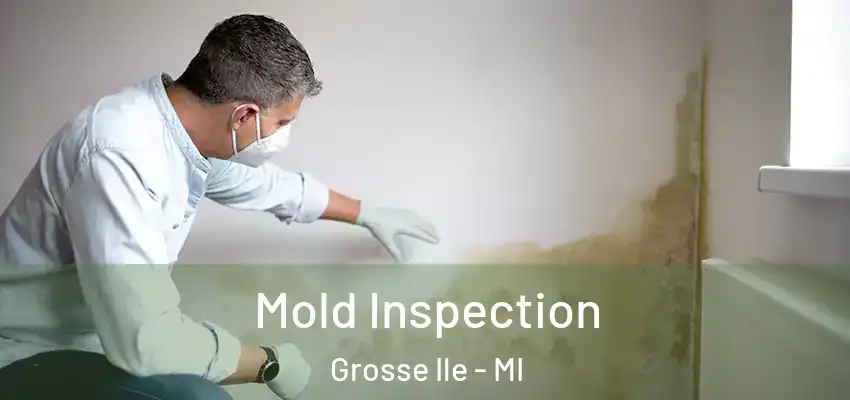  Mold Inspection Grosse Ile - MI