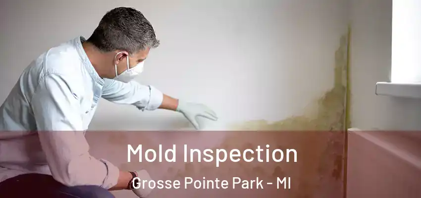  Mold Inspection Grosse Pointe Park - MI