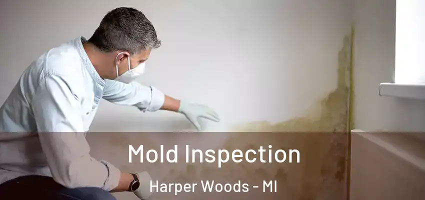  Mold Inspection Harper Woods - MI