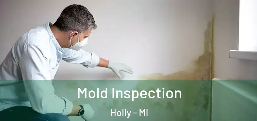  Mold Inspection Holly - MI