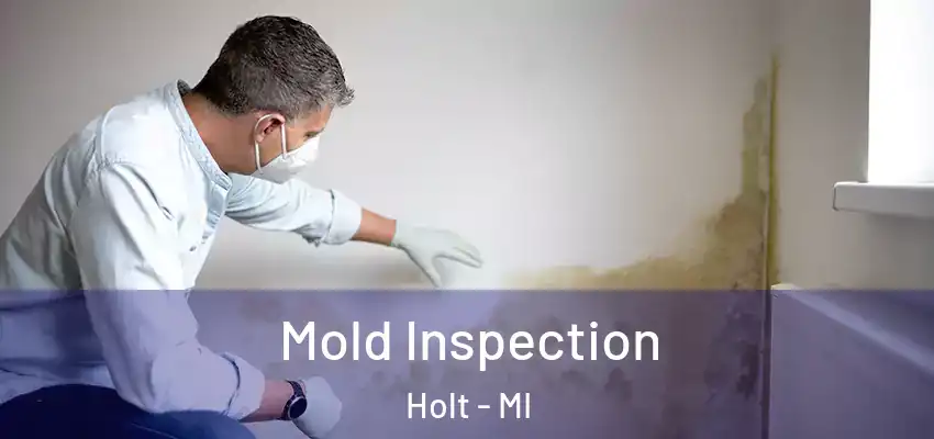  Mold Inspection Holt - MI
