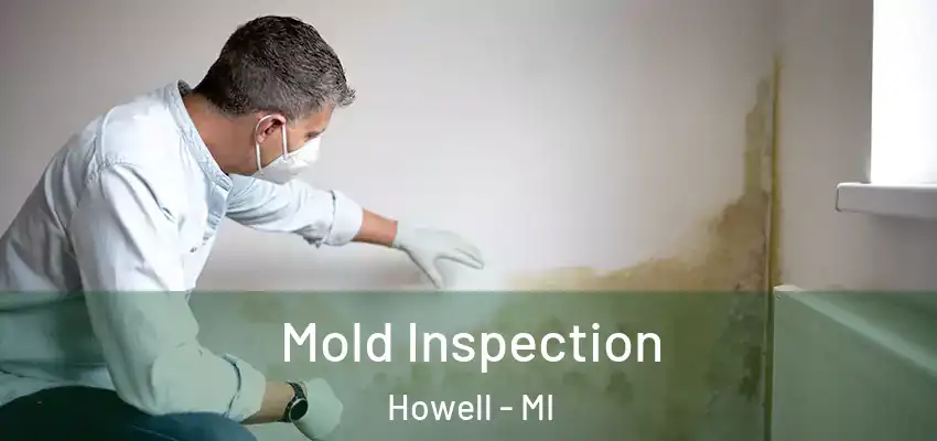  Mold Inspection Howell - MI
