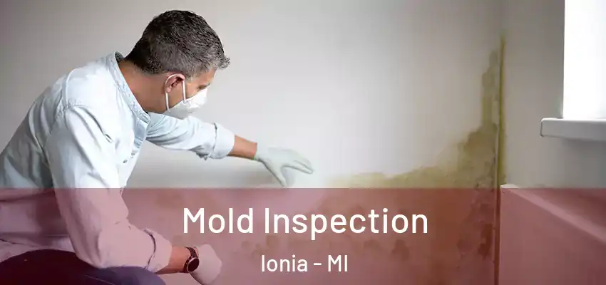  Mold Inspection Ionia - MI