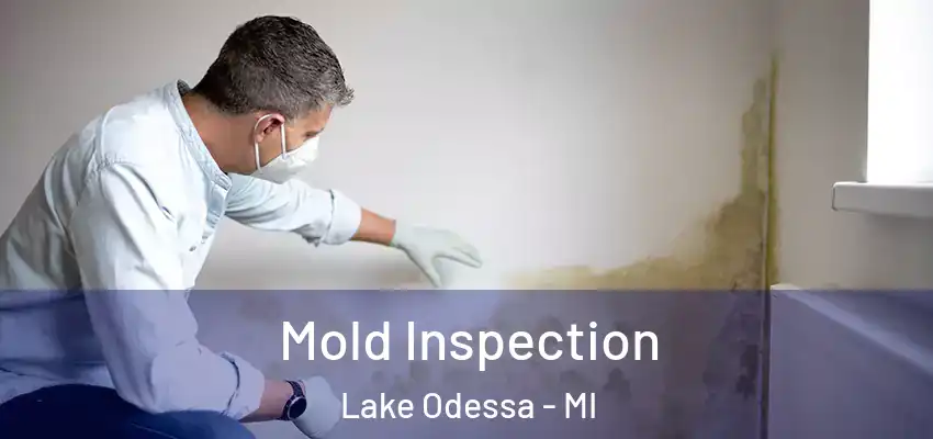  Mold Inspection Lake Odessa - MI