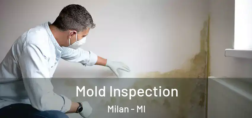  Mold Inspection Milan - MI